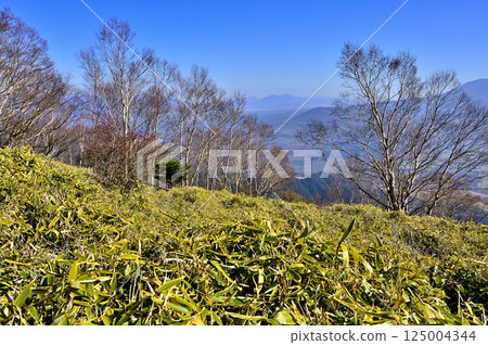 The summit of Amegatake in the Tenshi Mountains: Subalpine scenery of Erman's birch and bamboo grass 125004344