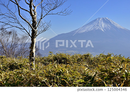 從天子山脈的雨嶽山頂俯瞰亞高山景觀中的富士山 從天子山脈的雨嶽山頂俯瞰亞高山景觀中的富士山 125004346