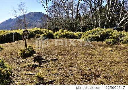 從天子山天嶽山頂的高台眺望 從天子山天嶽山頂的高台眺望 125004347
