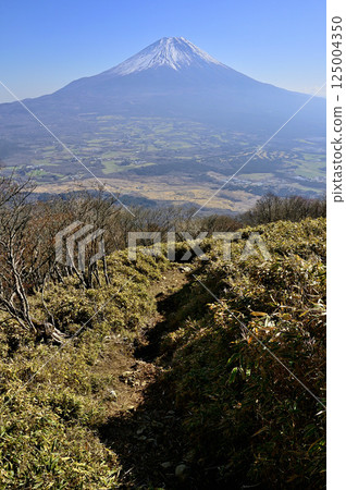 Mount Fuji as seen from the trail leading up to Amagatake in the Tenshi Mountains 125004350