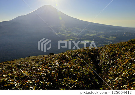 Mount Fuji bathed in the morning sun, seen from the bamboo grass path on Mount Ryugatake in the Tenshi Mountains Mount Fuji bathed in the morning sun, seen from the bamboo grass path on Mount Ryugatake in the Tenshi Mountains 125004412