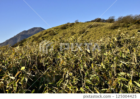 天子山脈的龍岳：竹林連峰與雨岳 125004425