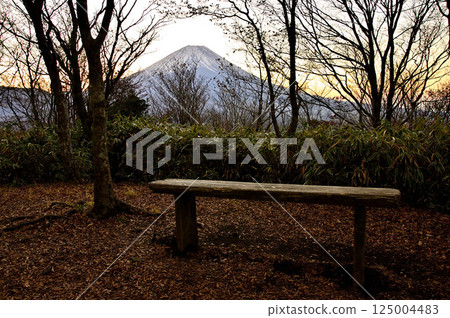 從天使山的龍岳森林眺望黎明前的富士山 從天使山的龍岳森林眺望黎明前的富士山 125004483