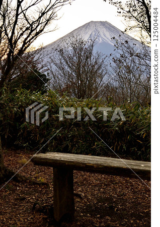 從天使山的龍岳森林眺望黎明前的富士山 125004484