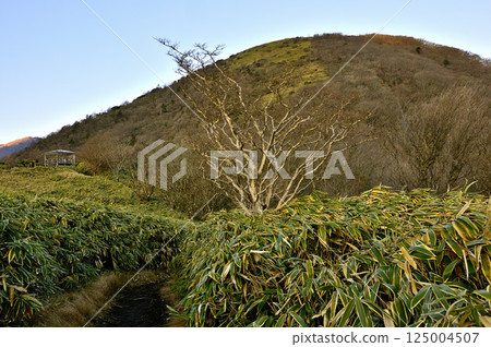 Mount Ryugatake in the Tenshi Mountains: Morning view of the Stone Buddha Observatory with a path through the bamboo grass Mount Ryugatake in the Tenshi Mountains: Morning view of the Stone Buddha Observatory with a path through the bamboo grass 125004507
