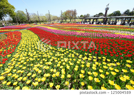 Flower garden 125004589