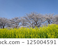 櫻花 125004591