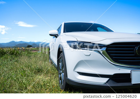 White SUV type car White SUV type car 125004620