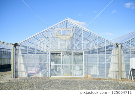 A vinyl greenhouse on a farm in the suburbs 125004711
