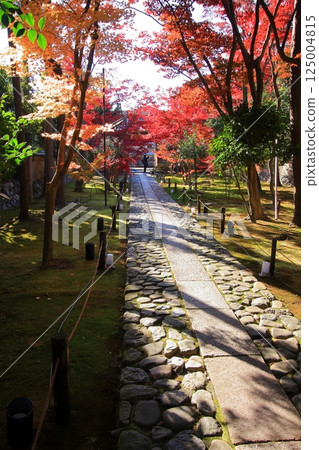 Autumn leaves in Kyoto: famous spots for autumn leaves, little-known spots for autumn leaves: Rokuo-in Temple 125004815