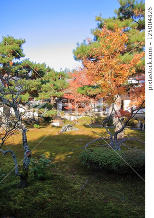Autumn leaves in Kyoto: famous spots for autumn leaves, little-known spots for autumn leaves: Rokuo-in Temple Autumn leaves in Kyoto: famous spots for autumn leaves, little-known spots for autumn leaves: Rokuo-in Temple 125004826