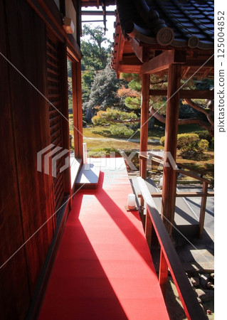 京都的紅葉:著名的紅葉景點、鮮為人知的紅葉景點:鹿王院 京都的紅葉:著名的紅葉景點、鮮為人知的紅葉景點:鹿王院 125004852