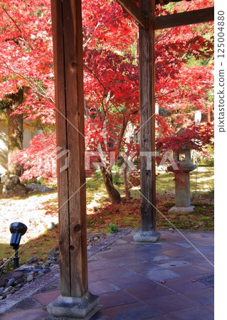 Autumn leaves in Kyoto: famous spots for autumn leaves, little-known spots for autumn leaves: Rokuo-in Temple 125004880