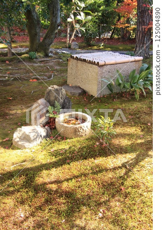 京都的紅葉：著名的紅葉景點、鮮為人知的紅葉景點：鹿王院 125004890