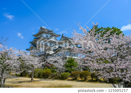 三重縣伊賀市的櫻花和伊賀上野城 125005257