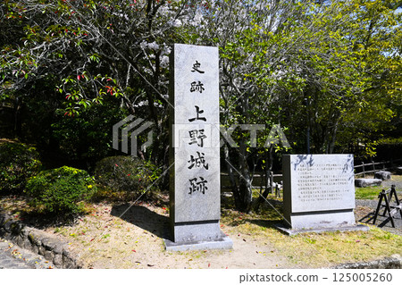 Iga Ueno Castle stone marker, Iga City, Mie Prefecture 125005260