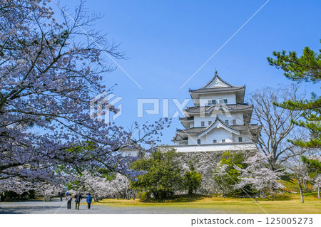 Cherry blossoms and Iga Ueno Castle in Iga City, Mie Prefecture Cherry blossoms and Iga Ueno Castle in Iga City, Mie Prefecture 125005273