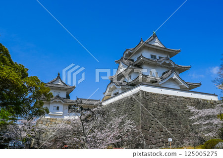 三重縣伊賀市的櫻花和伊賀上野城 125005275