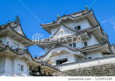 藍天和伊賀上野城,三重縣伊賀市 藍天和伊賀上野城,三重縣伊賀市 125005280