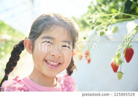 Girls enjoying strawberry picking at a farm 125005529