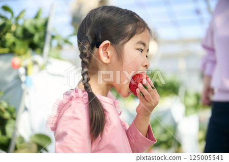女孩們在農場享受採摘草莓的樂趣 125005541