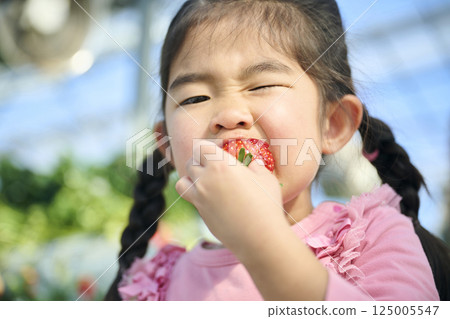 女孩們在農場享受採摘草莓的樂趣 125005547