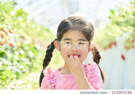 Girls enjoying strawberry picking at a farm Girls enjoying strawberry picking at a farm 125005548