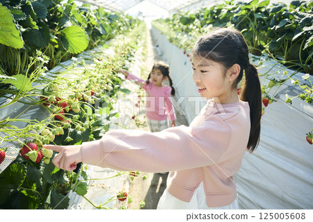 姐妹倆在農場享受採摘草莓的樂趣 125005608
