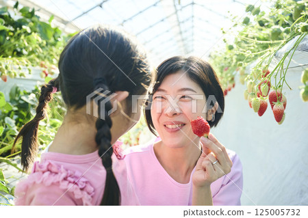 Parents and children enjoying strawberry picking at a farm Parents and children enjoying strawberry picking at a farm 125005732