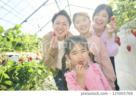 一家四口在農場享受採摘草莓的樂趣 一家四口在農場享受採摘草莓的樂趣 125005768