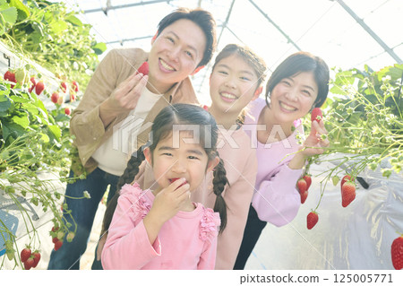 一家四口在農場享受採摘草莓的樂趣 125005771