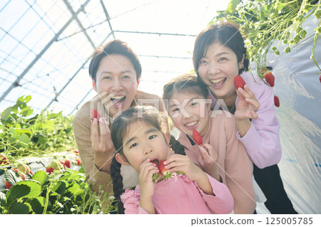 一家四口在農場享受採摘草莓的樂趣 125005785