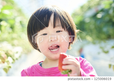 Girls enjoying strawberry picking at a farm 125006019