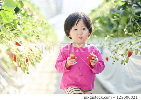 女孩們在農場享受採摘草莓的樂趣 125006021