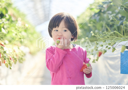 女孩們在農場享受採摘草莓的樂趣 125006024