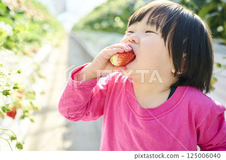 Girls enjoying strawberry picking at a farm Girls enjoying strawberry picking at a farm 125006040