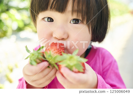 女孩們在農場享受採摘草莓的樂趣 125006049