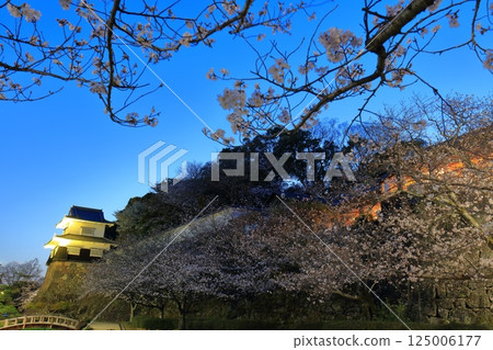 [Nagasaki Prefecture] Omura Park's wooden turret and cherry blossoms in full bloom at night (Kujima Castle) 125006177