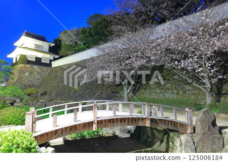 [Nagasaki Prefecture] Omura Park's wooden turret and cherry blossoms in full bloom at night (Kujima Castle) 125006184