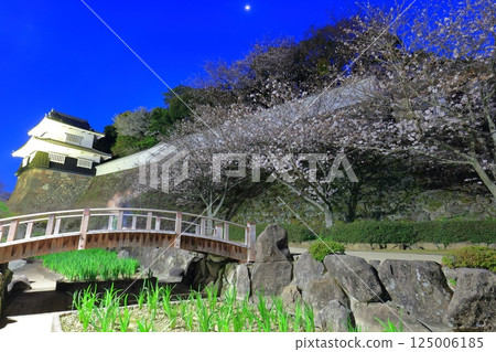 [Nagasaki Prefecture] Omura Park's wooden turret and cherry blossoms in full bloom at night (Kujima Castle) 125006185