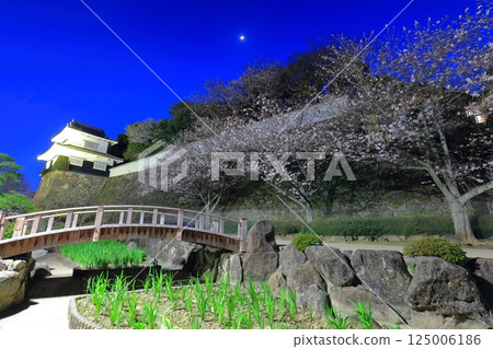 【長崎縣】大村公園的木造塔樓與夜櫻（久島城） 125006186