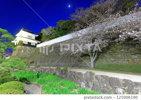 【長崎縣】大村公園的木造塔樓與夜櫻(久島城) 【長崎縣】大村公園的木造塔樓與夜櫻(久島城) 125006190