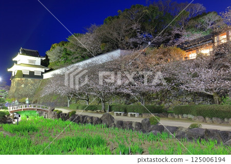 【長崎縣】大村公園的木造塔樓與夜櫻（久島城） 125006194