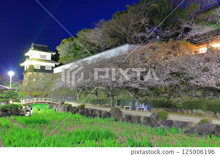 [Nagasaki Prefecture] Omura Park's wooden turret and cherry blossoms in full bloom at night (Kujima Castle) 125006196