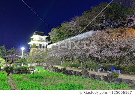 [Nagasaki Prefecture] Omura Park's wooden turret and cherry blossoms in full bloom at night (Kujima Castle) 125006197
