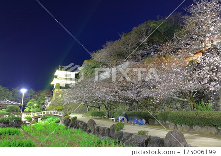 【長崎縣】大村公園的木造塔樓與夜櫻(久島城) 【長崎縣】大村公園的木造塔樓與夜櫻(久島城) 125006199