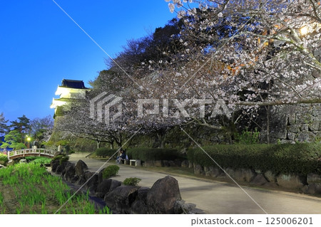 【長崎縣】大村公園的木造塔樓與夜櫻(久島城) 【長崎縣】大村公園的木造塔樓與夜櫻(久島城) 125006201