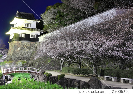 【長崎縣】大村公園的木造塔樓與夜櫻（久島城） 125006203