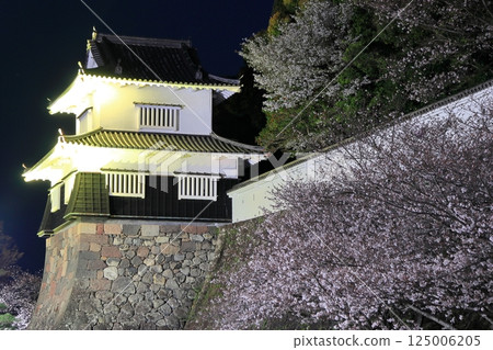 [Nagasaki Prefecture] Omura Park's wooden turret and cherry blossoms in full bloom at night (Kujima Castle) 125006205