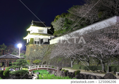 【長崎縣】大村公園的木造塔樓與夜櫻(久島城) 【長崎縣】大村公園的木造塔樓與夜櫻(久島城) 125006206